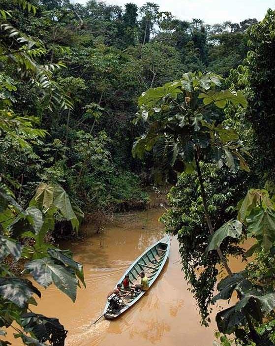 Travel down the Amazon River